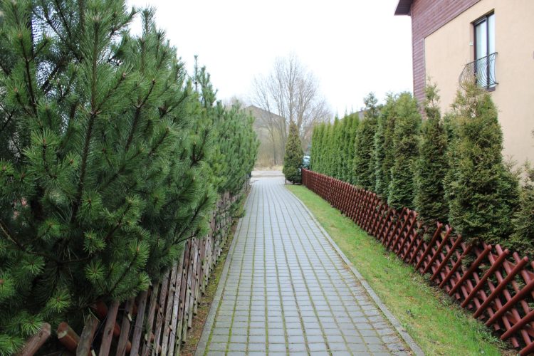 SAULĖTAS IR PILNAI ĮRENGTAS BUTAS UŽLIEDŽIUOSE !!!