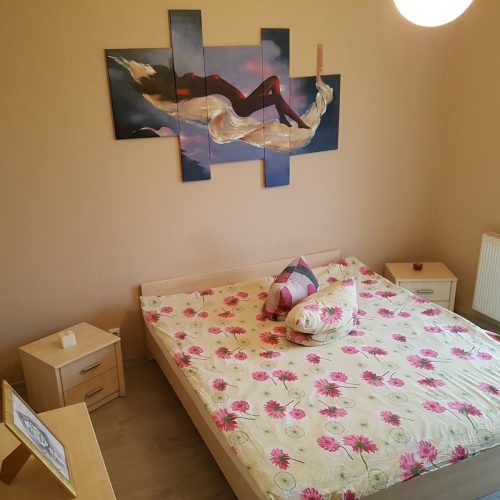 2 KAMBARIŲ BUTAS UŽLIEDIUOSE!!!